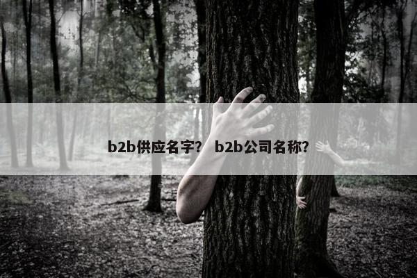 b2b供应名字？ b2b公司名称？