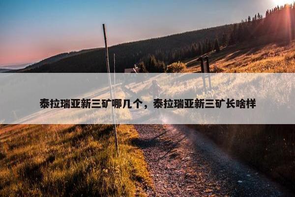 泰拉瑞亚新三矿哪几个，泰拉瑞亚新三矿长啥样