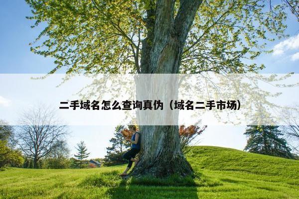 二手域名怎么查询真伪（域名二手市场）
