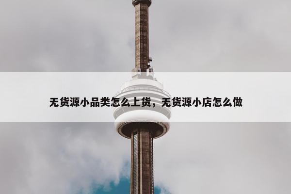 无货源小品类怎么上货，无货源小店怎么做