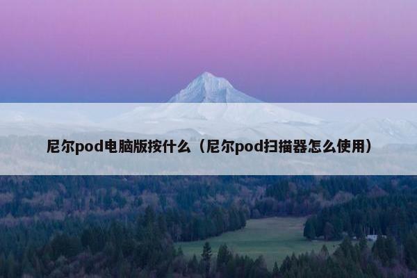 尼尔pod电脑版按什么（尼尔pod扫描器怎么使用）