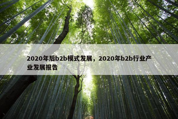 2020年后b2b模式发展，2020年b2b行业产业发展报告