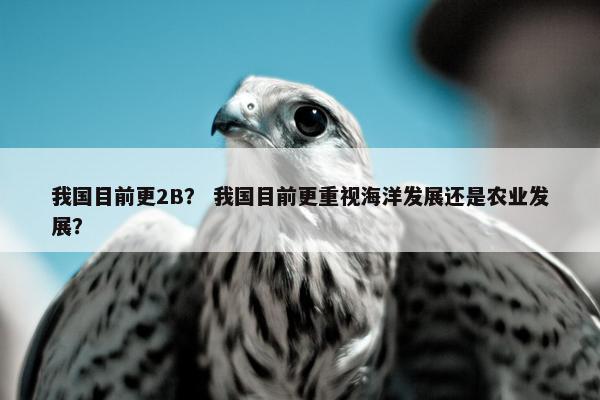 我国目前更2B？ 我国目前更重视海洋发展还是农业发展？