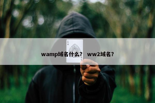 wamp域名什么？ ww2域名？