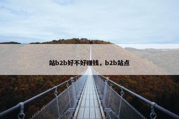 站b2b好不好赚钱，b2b站点