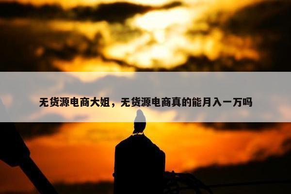 无货源电商大姐，无货源电商真的能月入一万吗