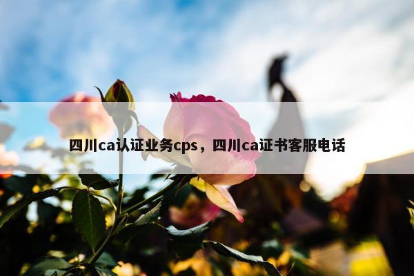 四川ca认证业务cps，四川ca证书客服电话