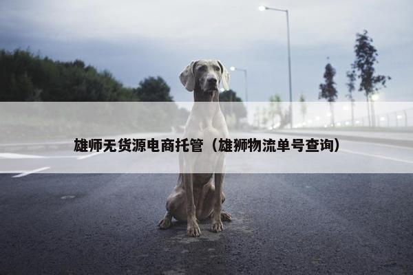 雄师无货源电商托管（雄狮物流单号查询）