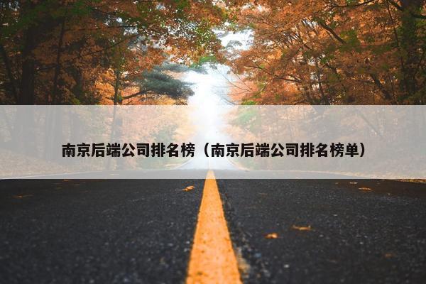 南京后端公司排名榜（南京后端公司排名榜单）