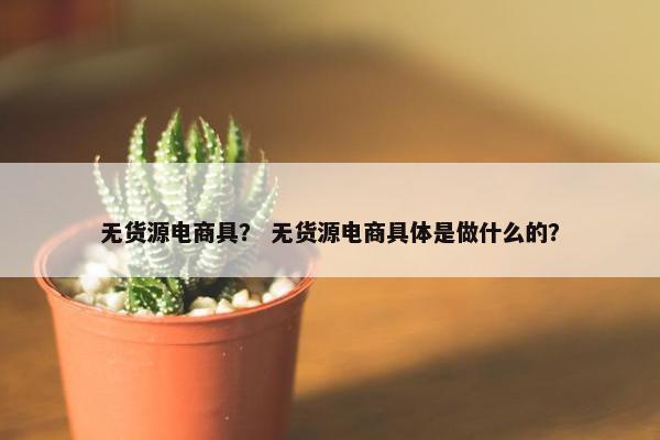 无货源电商具？ 无货源电商具体是做什么的？