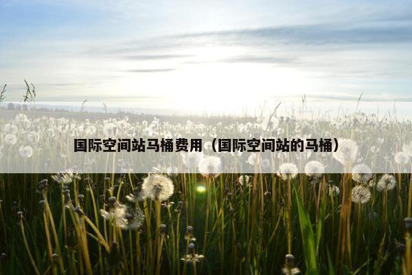 国际空间站马桶费用（国际空间站的马桶）