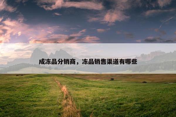 成冻品分销商，冻品销售渠道有哪些