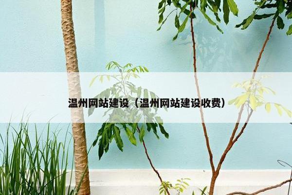温州网站建设（温州网站建设收费）