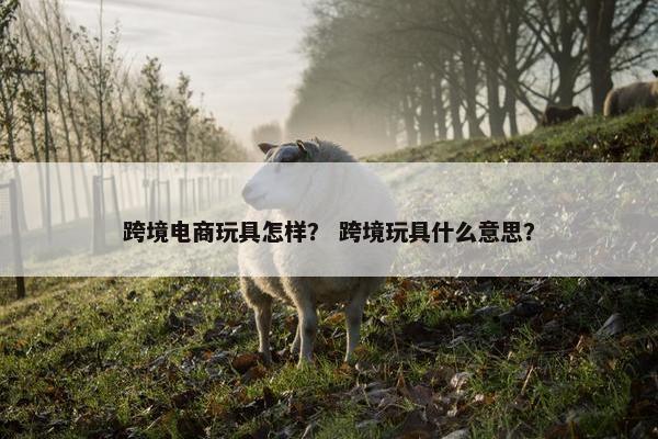 跨境电商玩具怎样？ 跨境玩具什么意思？
