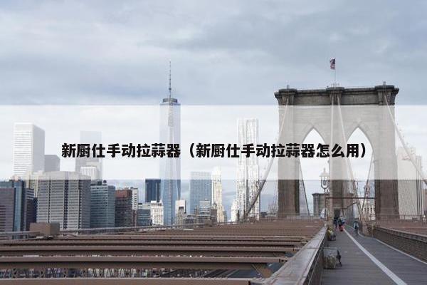新厨仕手动拉蒜器（新厨仕手动拉蒜器怎么用）