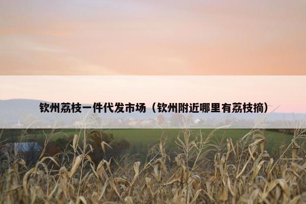 钦州荔枝一件代发市场（钦州附近哪里有荔枝摘）