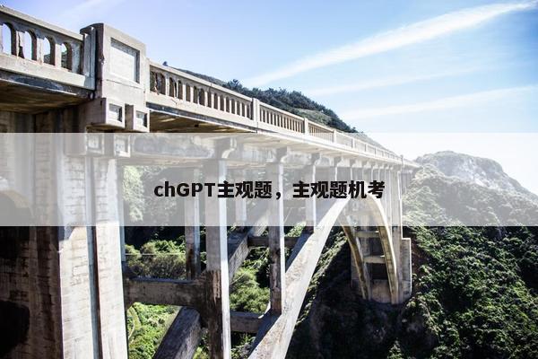 chGPT主观题，主观题机考