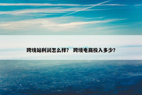 跨境站利润怎么样？ 跨境电商投入多少？
