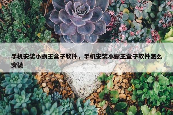 手机安装小霸王盒子软件，手机安装小霸王盒子软件怎么安装