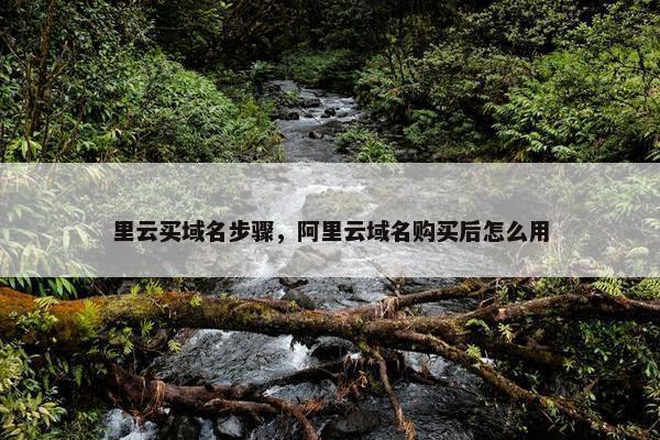 里云买域名步骤，阿里云域名购买后怎么用