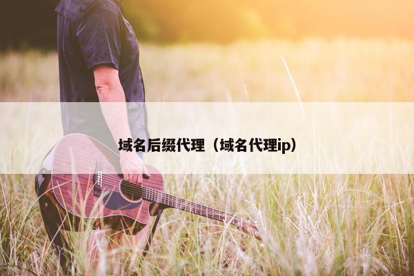 域名后缀代理（域名代理ip）