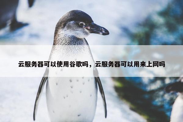 云服务器可以使用谷歌吗，云服务器可以用来上网吗