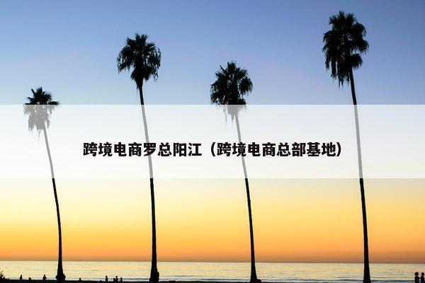 跨境电商罗总阳江（跨境电商总部基地）