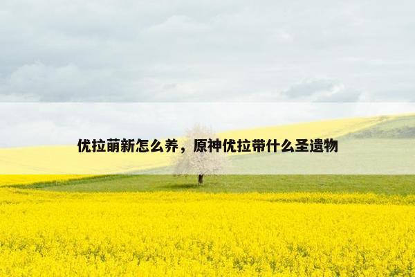 优拉萌新怎么养，原神优拉带什么圣遗物