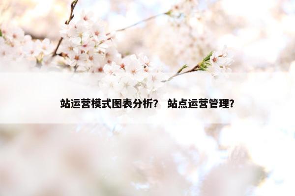 站运营模式图表分析？ 站点运营管理？