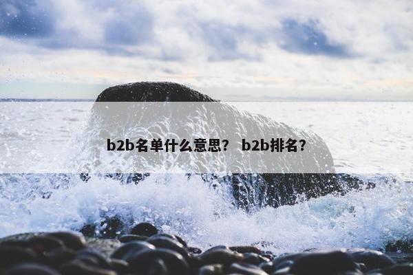 b2b名单什么意思？ b2b排名？