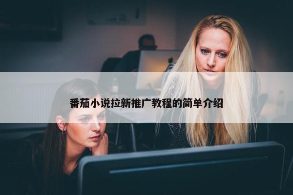 番茄小说拉新推广教程的简单介绍