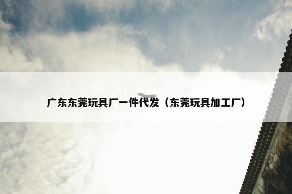 广东东莞玩具厂一件代发（东莞玩具加工厂）