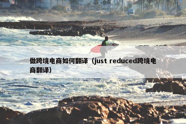 做跨境电商如何翻译（just reduced跨境电商翻译）