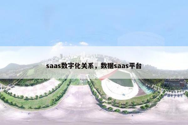 saas数字化关系，数据saas平台
