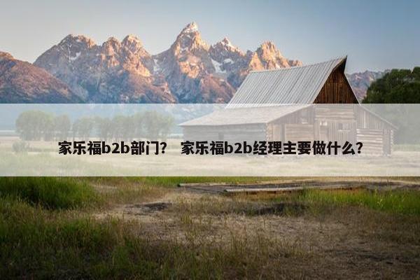 家乐福b2b部门？ 家乐福b2b经理主要做什么？