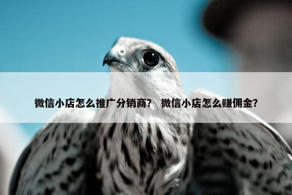 微信小店怎么推广分销商？ 微信小店怎么赚佣金？