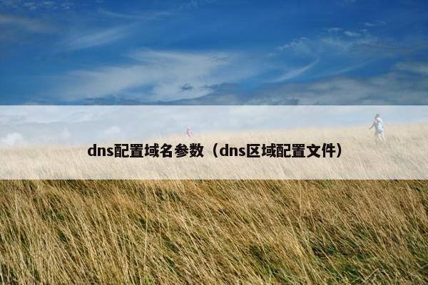 dns配置域名参数（dns区域配置文件）