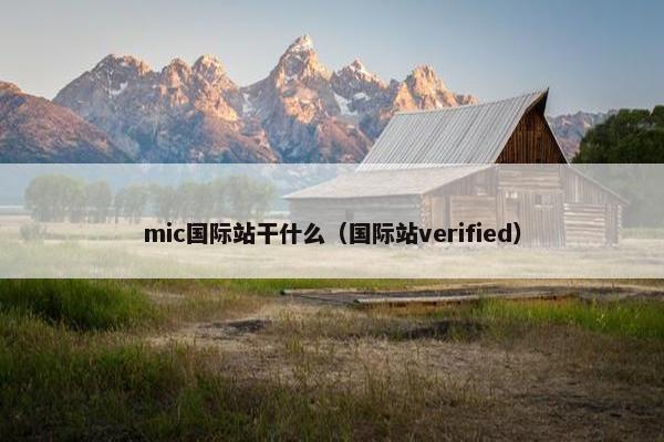 mic国际站干什么（国际站verified）