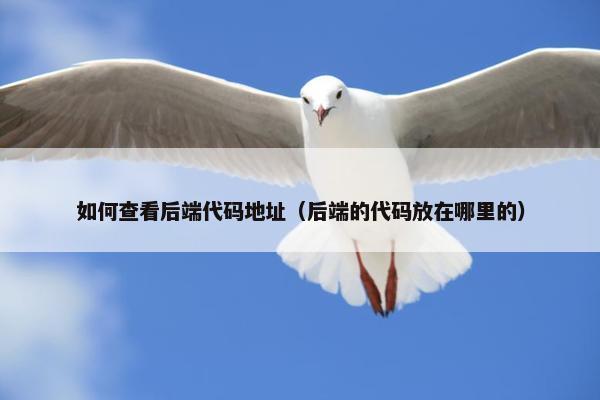 如何查看后端代码地址（后端的代码放在哪里的）