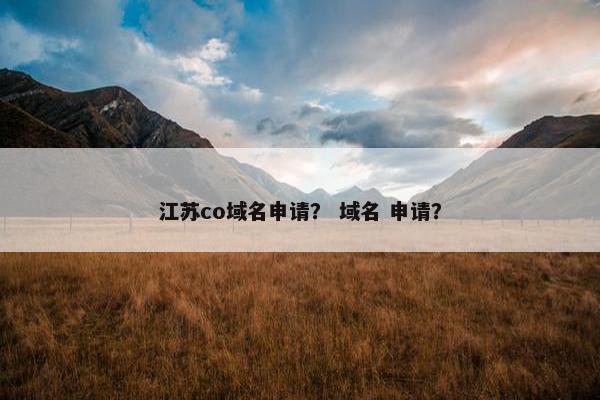 江苏co域名申请？ 域名 申请？