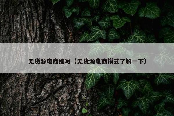 无货源电商缩写（无货源电商模式了解一下）
