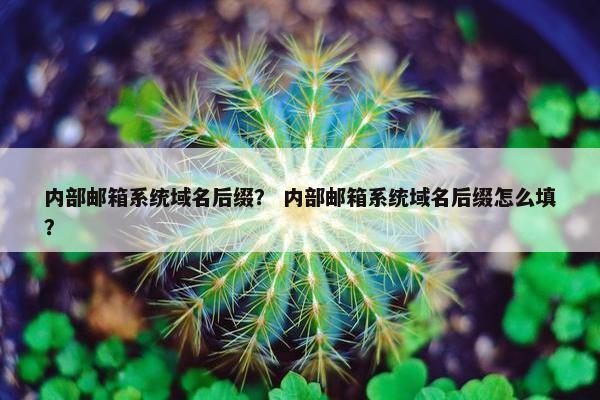 内部邮箱系统域名后缀？ 内部邮箱系统域名后缀怎么填？