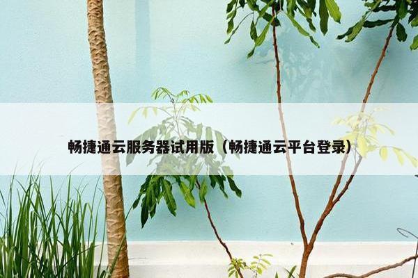 畅捷通云服务器试用版（畅捷通云平台登录）