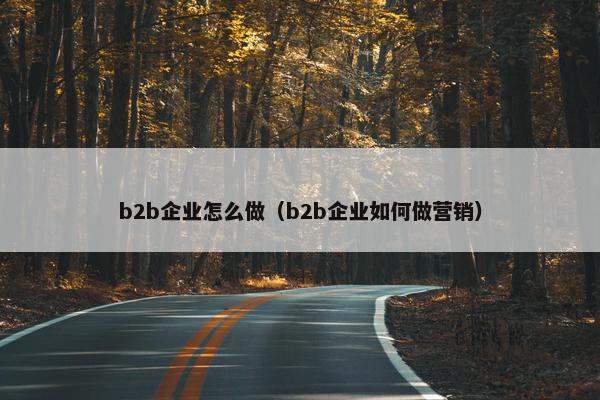 b2b企业怎么做（b2b企业如何做营销）