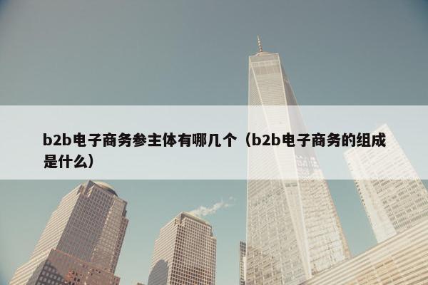 b2b电子商务参主体有哪几个（b2b电子商务的组成是什么）