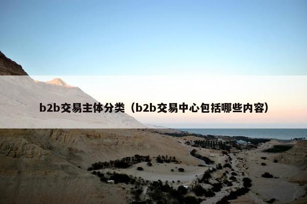 b2b交易主体分类（b2b交易中心包括哪些内容）
