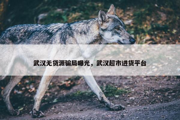 武汉无货源骗局曝光，武汉超市进货平台