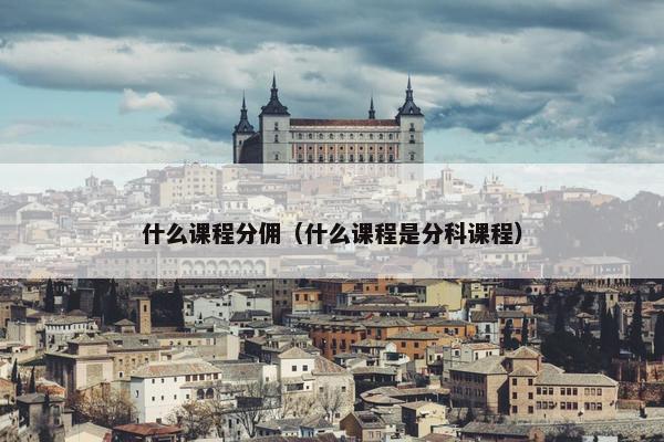 什么课程分佣（什么课程是分科课程）