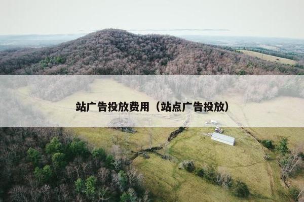 站广告投放费用（站点广告投放）