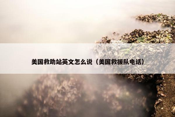 美国救助站英文怎么说（美国救援队电话）